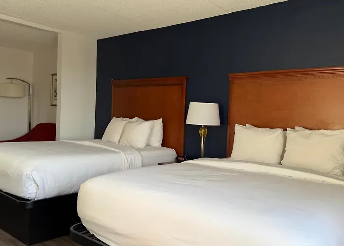 City Express By Marriott Chantilly Dulles Airport